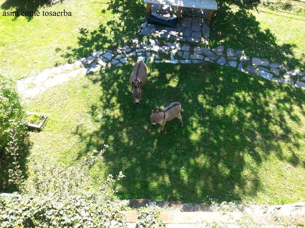 Il Borgo Della Colomba Βίλα Fosdinovo Εξωτερικό φωτογραφία